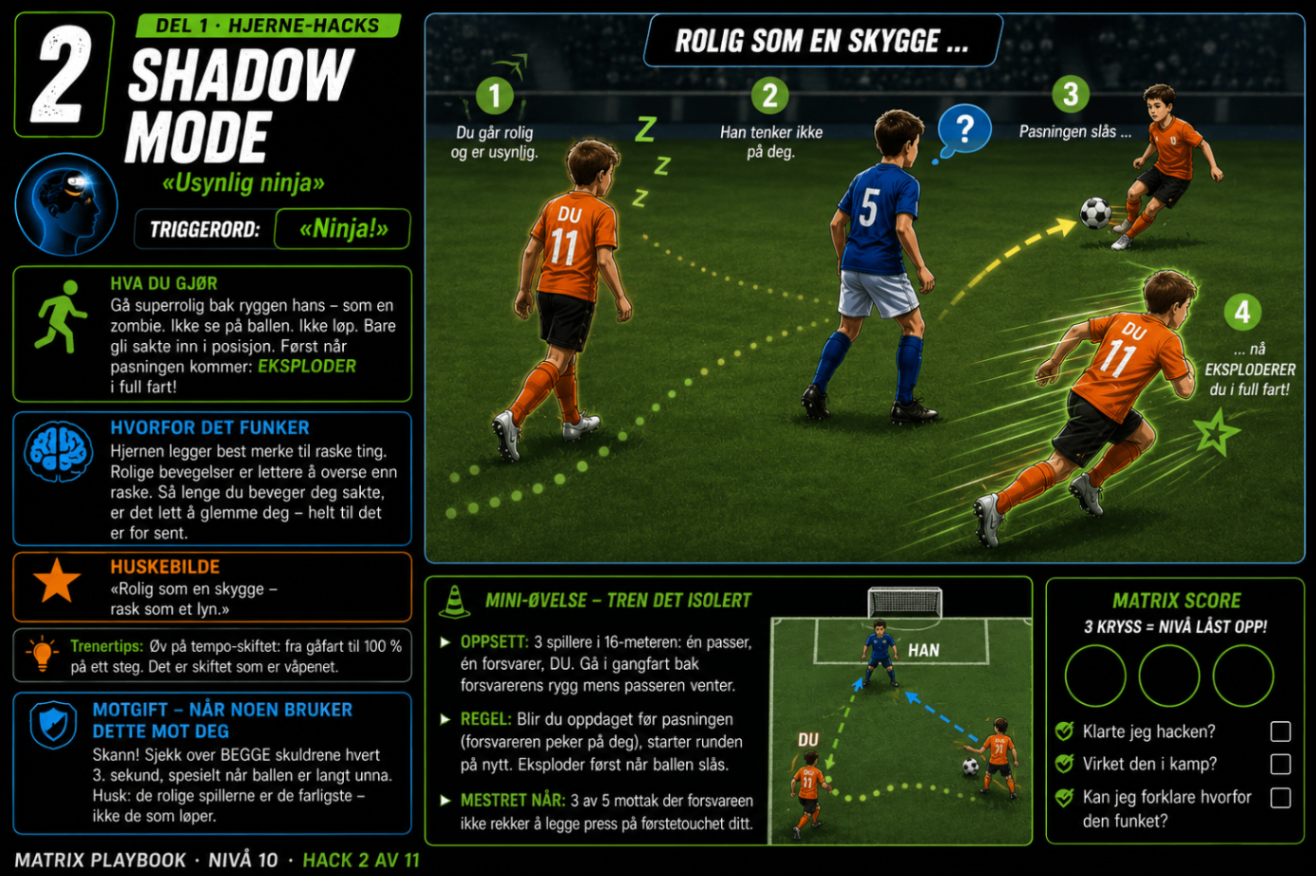 Kapittelbilde: Shadow Mode